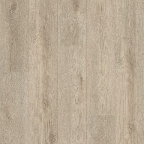 Shaw Paladin Plus Soft Beige