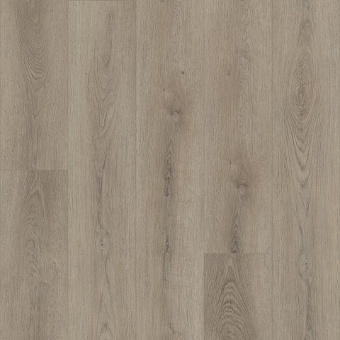 Shaw Paladin Plus Toasted Taupe