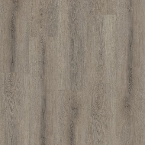 Shaw Paladin Plus Ashen Brown