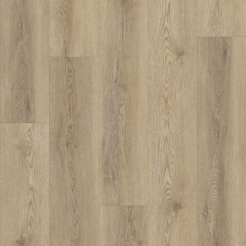Shaw Pantheon HD Plus Tostata