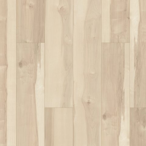Shaw Allegiance + Acc Atlas Maple