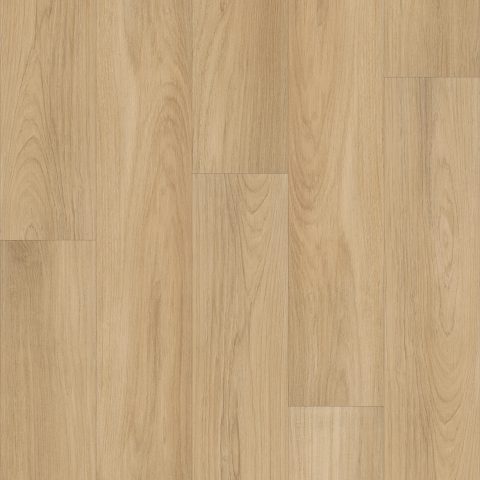 Shaw Distinction Plus Golden Timber