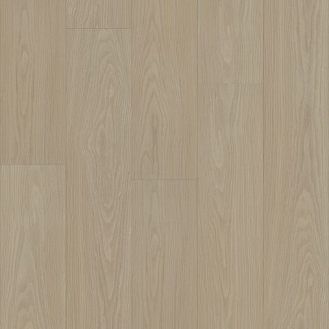 Shaw Distinction Plus Earthy Taupe