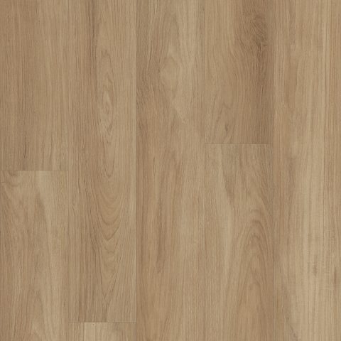 Shaw Distinction Plus Hazelnut Brown