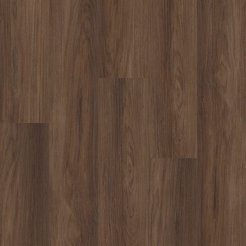 Shaw Distinction Plus Burnt Umber