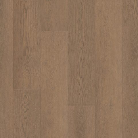 Shaw Paragon HD+Natural Bevel Rutledge
