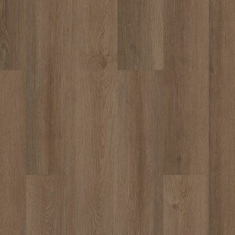 Shaw Infinite 20 Raw Sienna