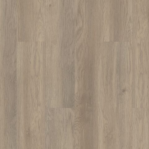 Shaw Infinite 20 Salt River