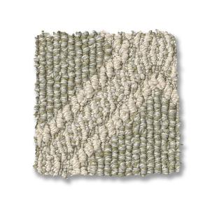 Soft Fern