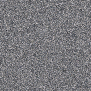 Pumi