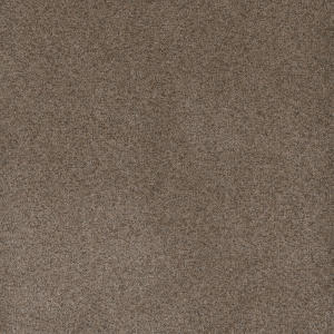 Shellbark