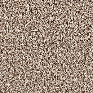 SP250 Gingerbread carpet