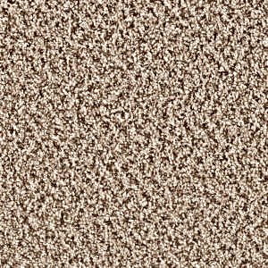 SP250 Fossil carpet