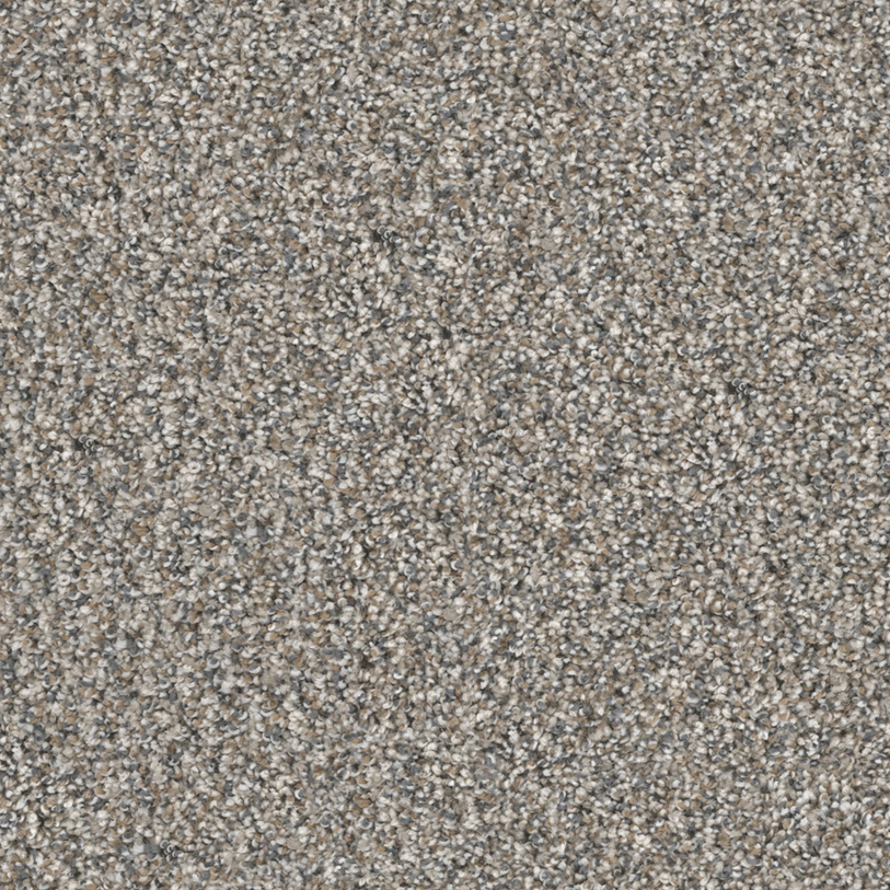 Nantucket Dune