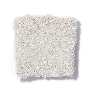 Parmesan