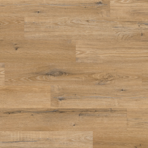 Karndean Knight Tile Gluedown Natural Character Oak