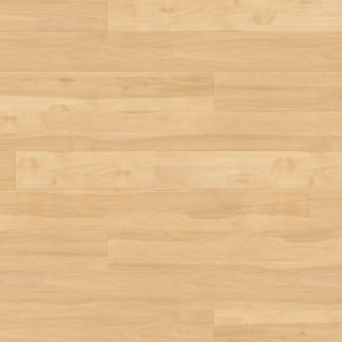 Karndean Art Select Gluedown Canadian Maple
