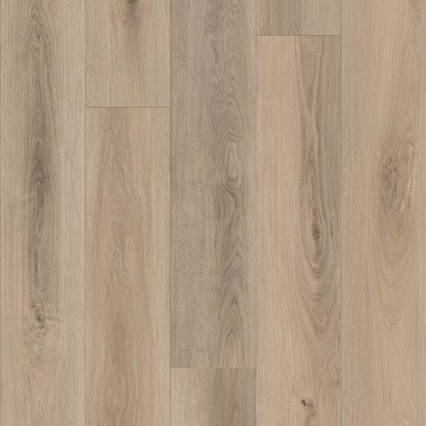 Cedar View
