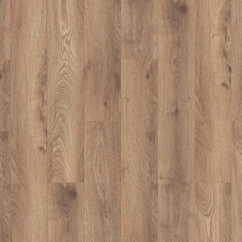 Shadow Oak