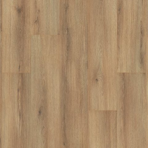 Timberland Oak