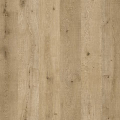 Coastal Ivory