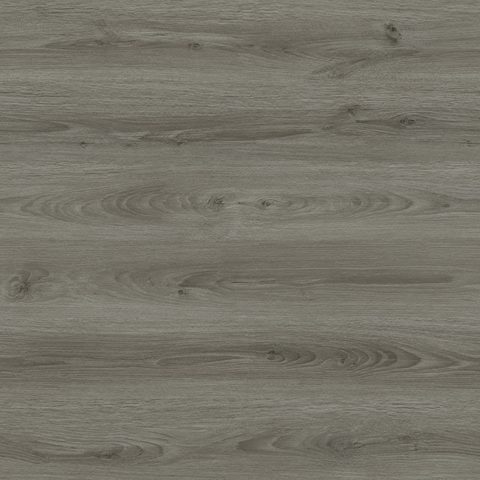 Ash Grey