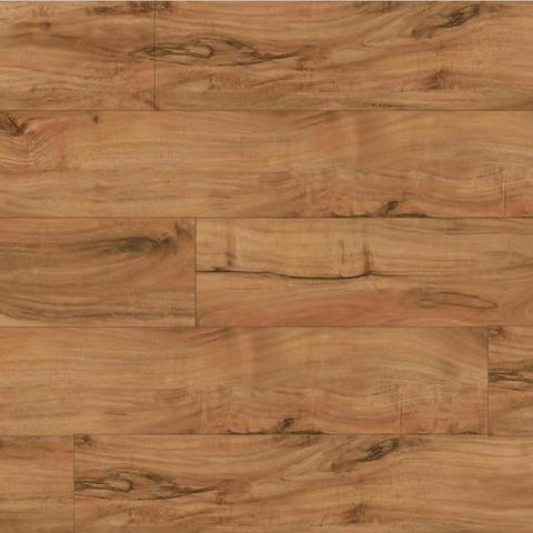 Natural Acacia