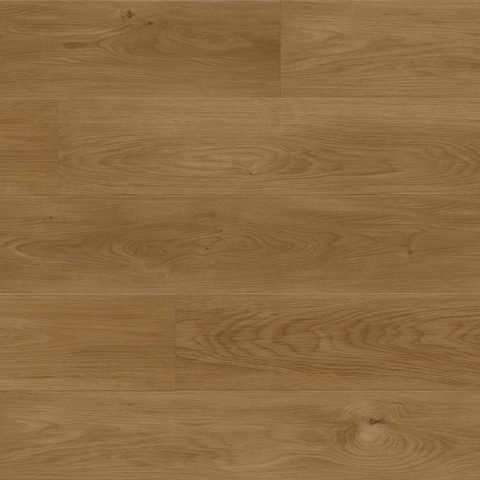 Republic North Water Rainforest Brown