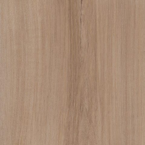 COREtec Pro Enhanced Lucent Oak